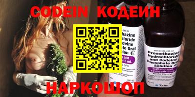 амф Кингисепп