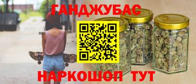 амф Кингисепп