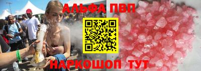 амф Кингисепп